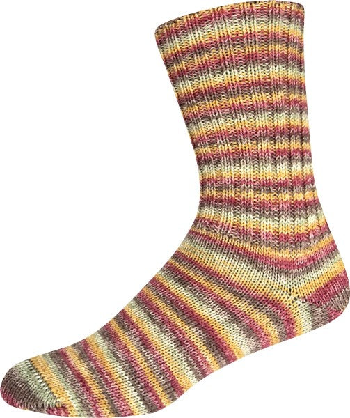 Supersocke 100 Merino Extrafein Color