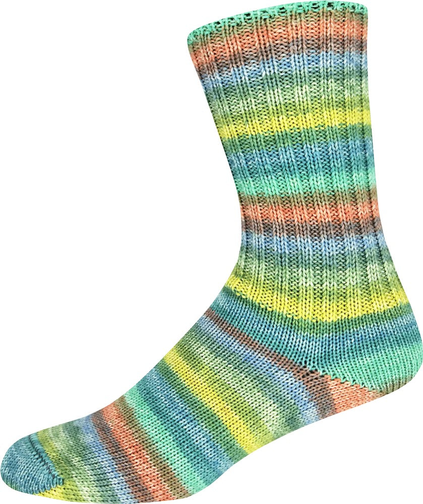 Supersocke 100 Merino Extrafein Color