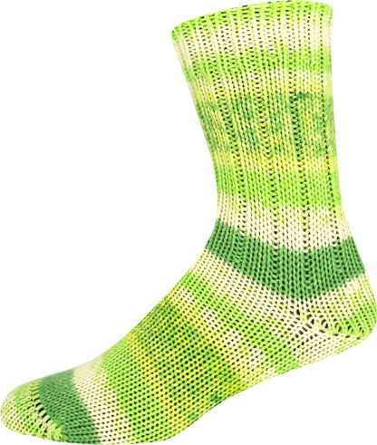 Supersocke 6-fach Merino Color