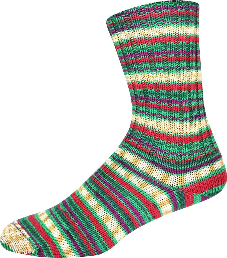Supersocke 100 Winter Color