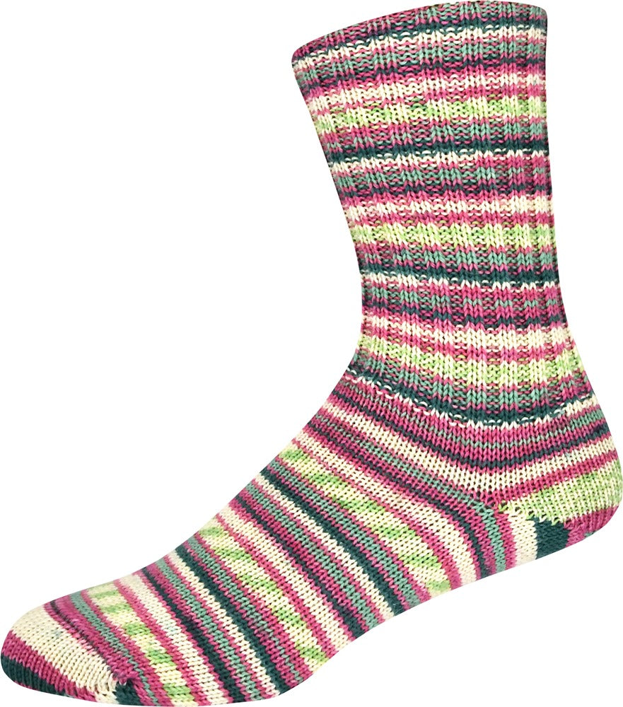 Supersocke 100 Winter Color