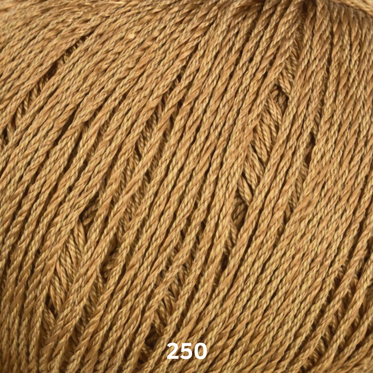LINIE 164 JAVA