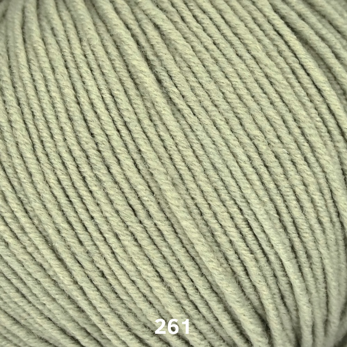 LINIE 110 TIMONA