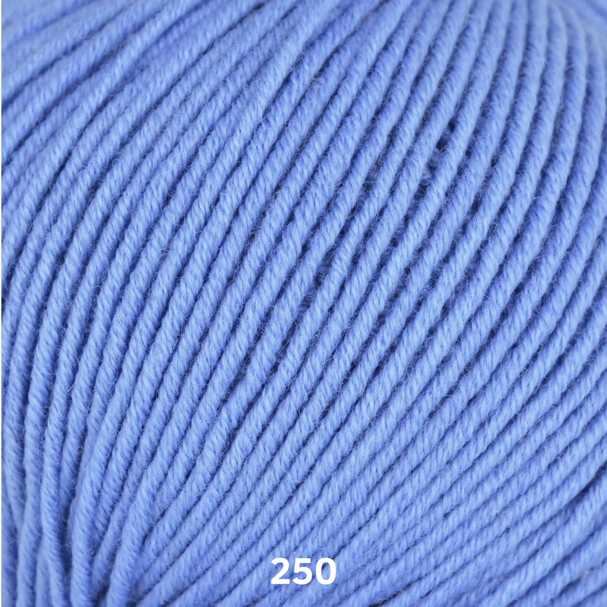 LINIE 110 TIMONA