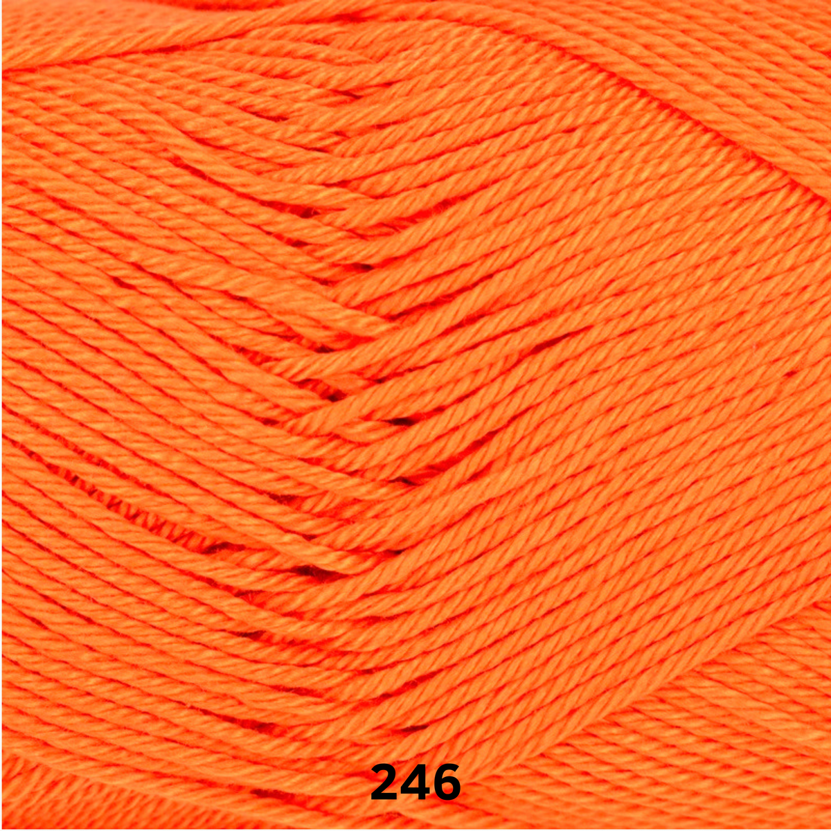 LINIE 165 SANDY