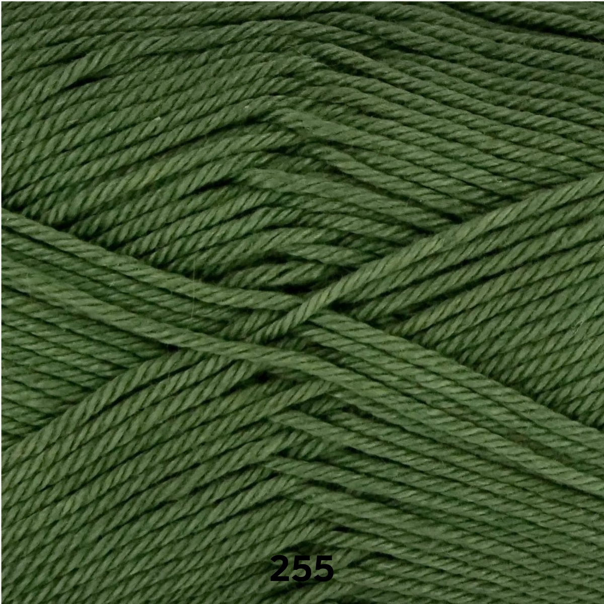 LINIE 165 SANDY