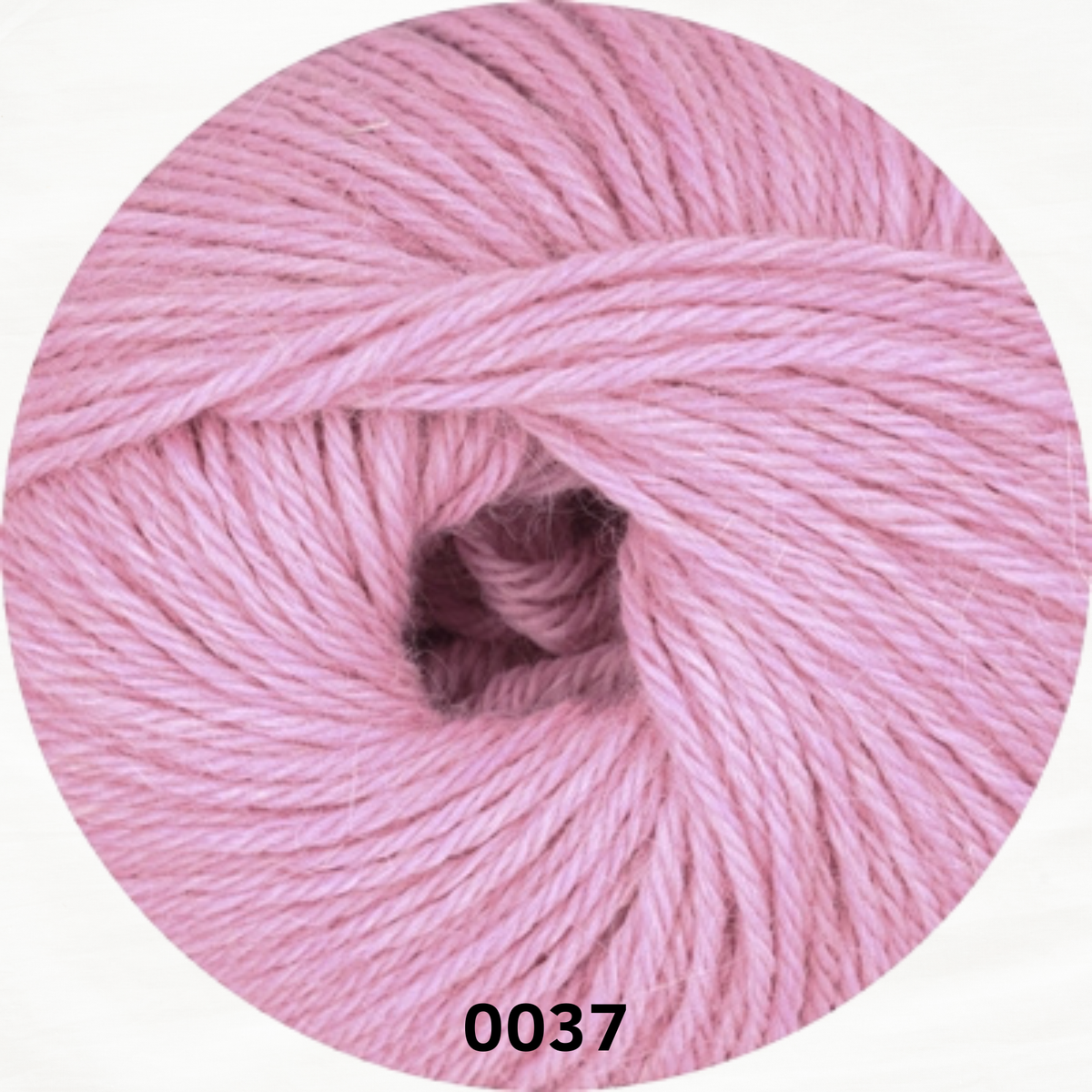 LINIE 310 ALPACA