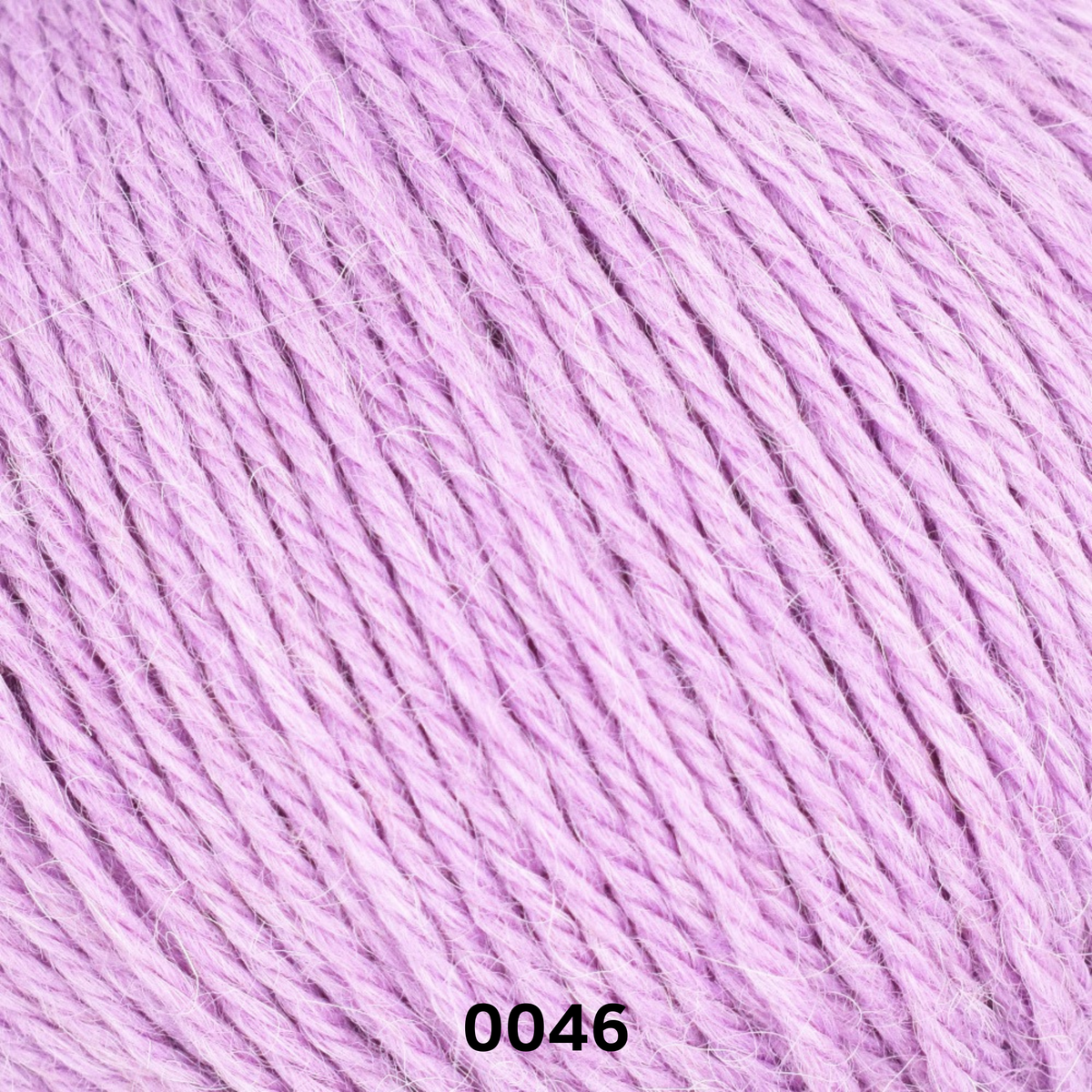 LINIE 310 ALPACA