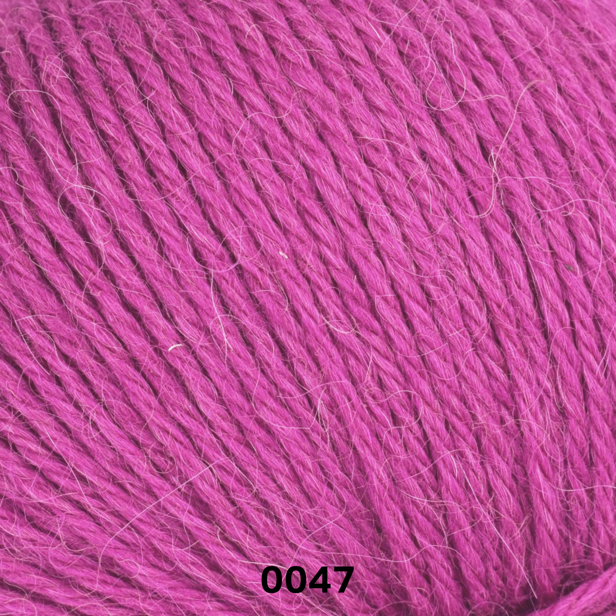 LINIE 310 ALPACA