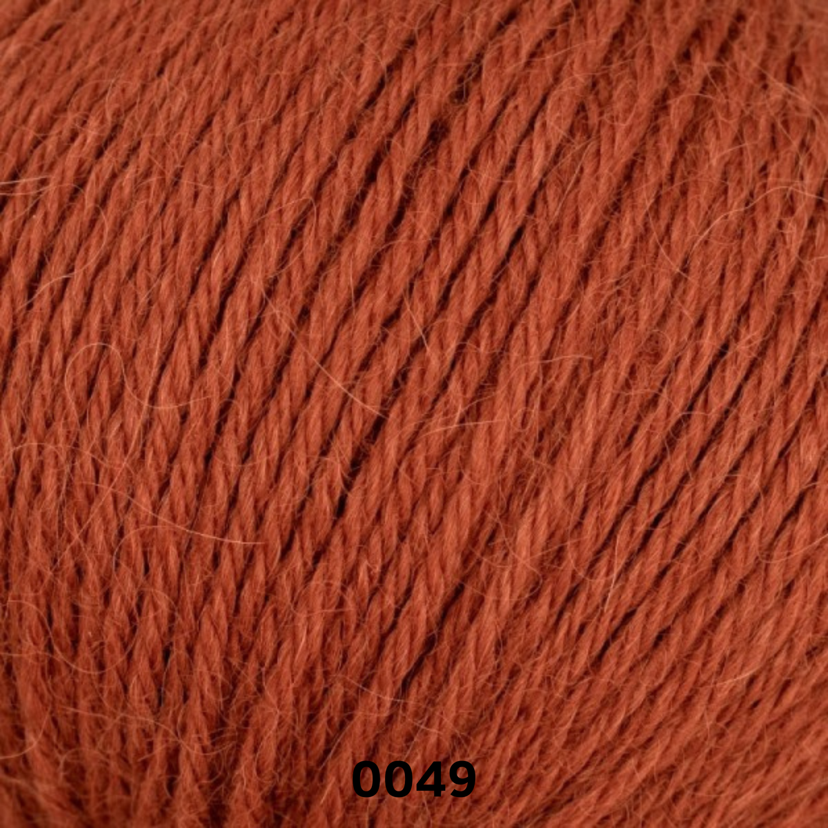 LINIE 310 ALPACA