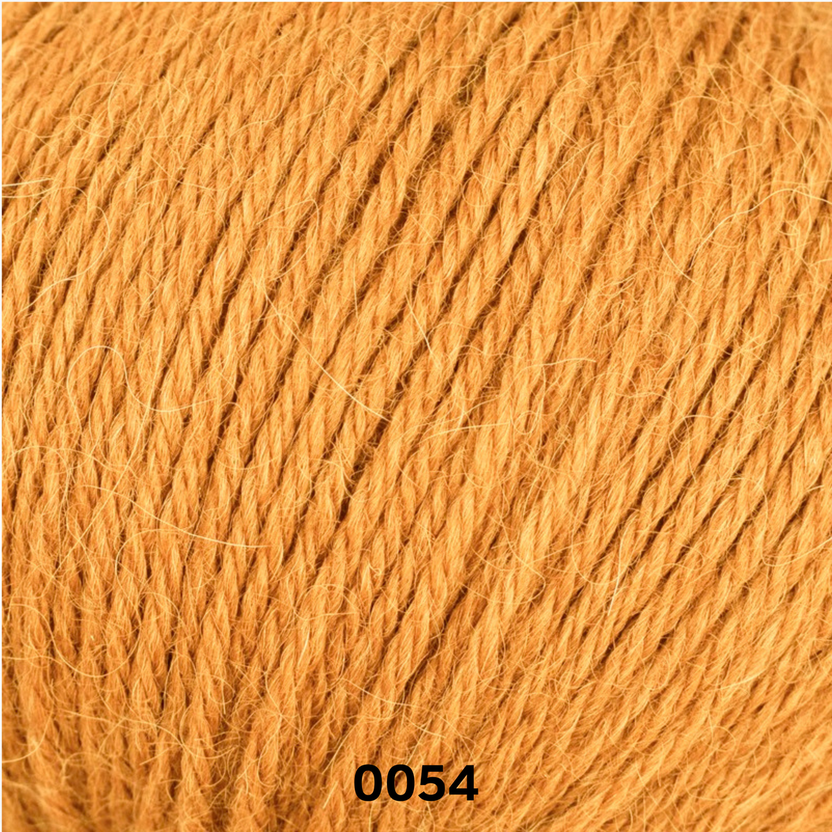 LINIE 310 ALPACA