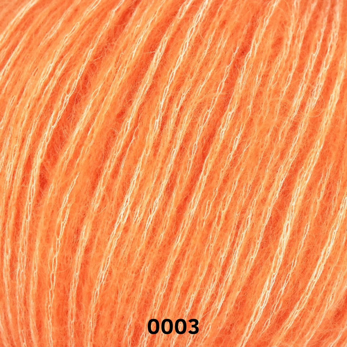 LINIE 565 NORICA