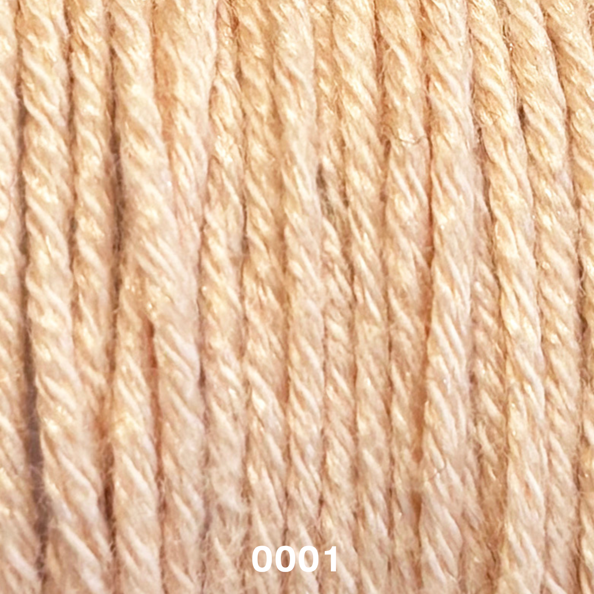LINIE 538 CASCADA