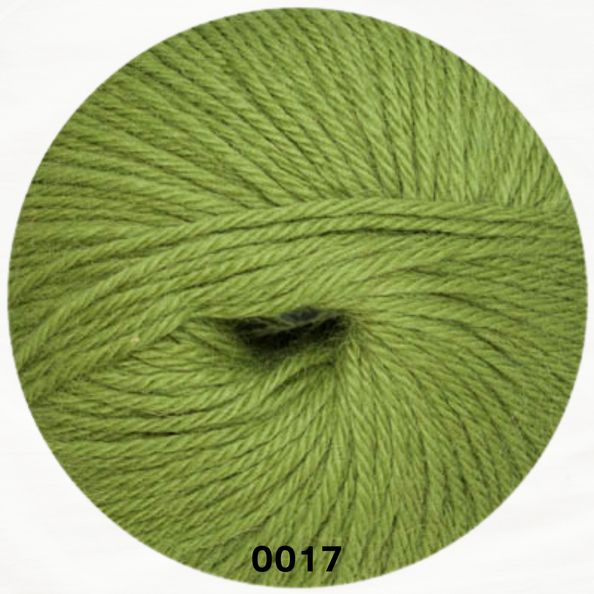 LINIE 310 ALPACA