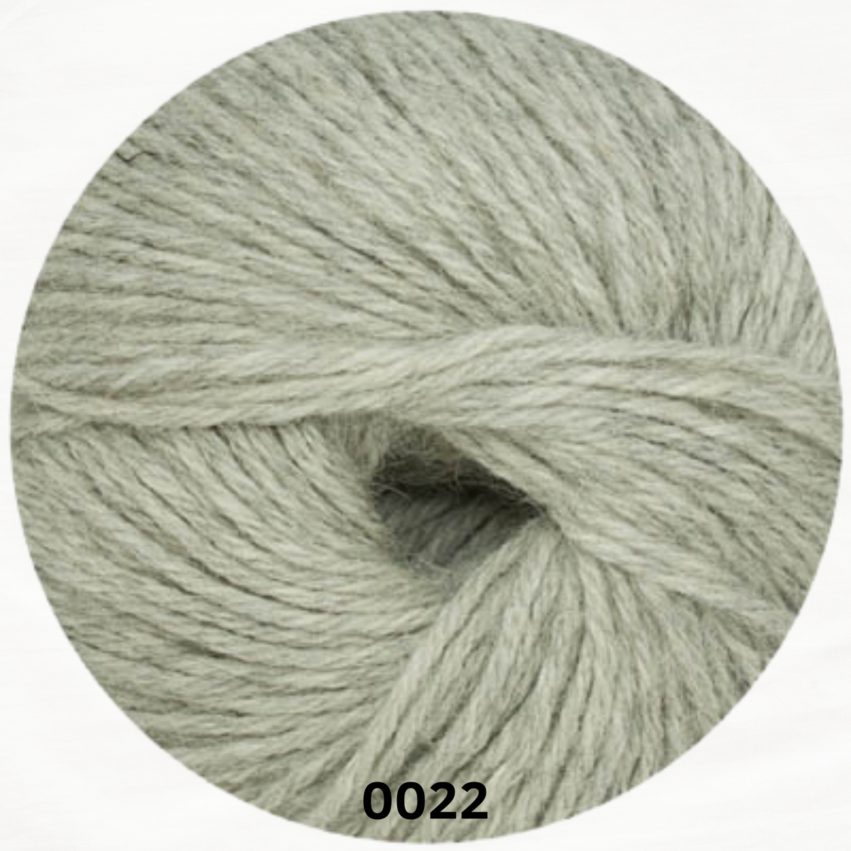 LINIE 310 ALPACA