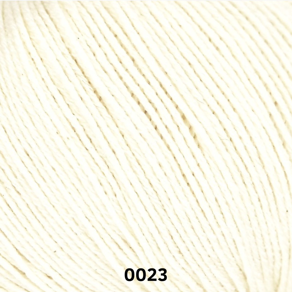 LINIE 538 CASCADA
