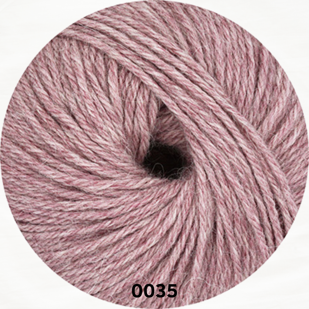 LINIE 310 ALPACA